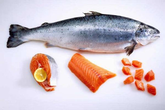 Ikan Salmon Bisa Bikin Kamu Awet Muda?